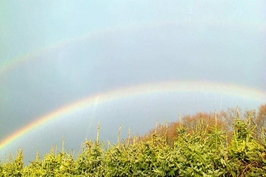 split rainbow